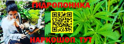 ГАЛЛЮЦИНОГЕННЫЕ ГРИБЫ Обнинск