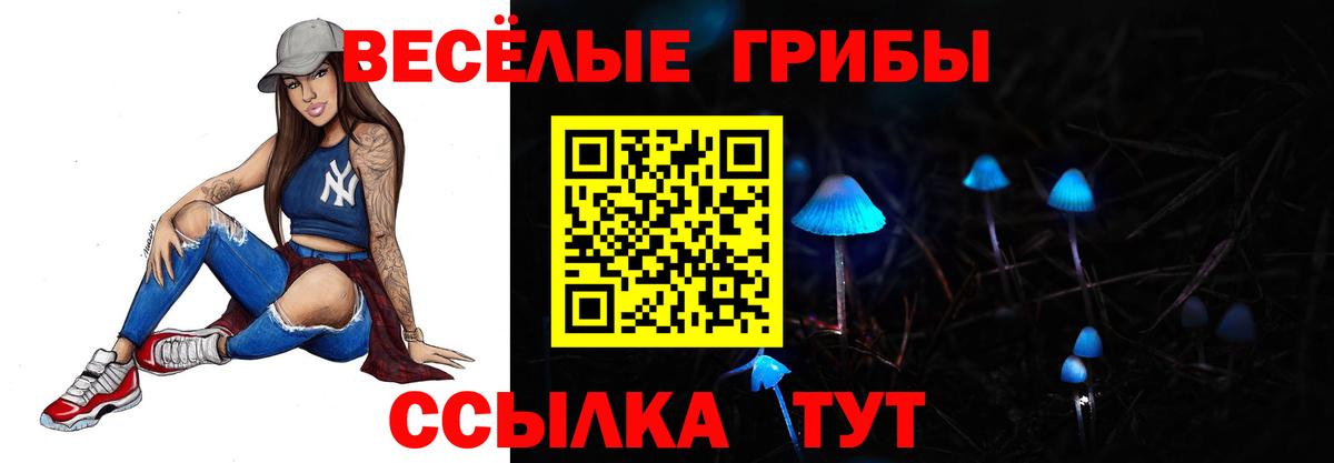 Тосно  Псилоцибиновые грибы Cubensis  Вход с VPN 